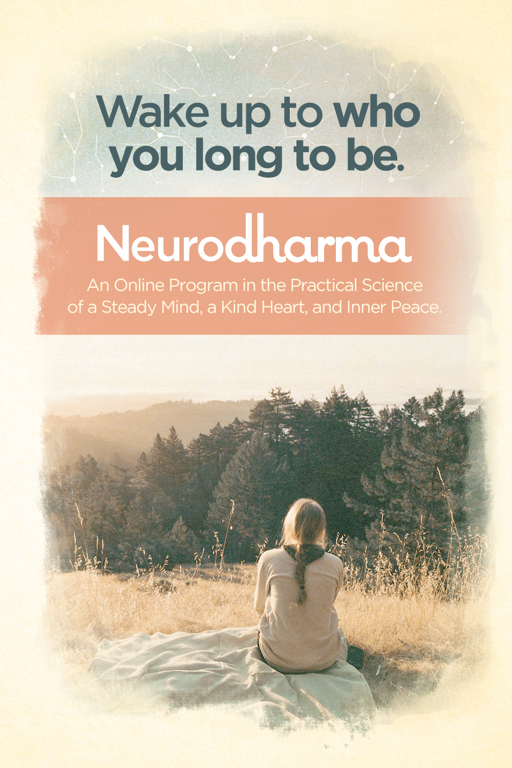 neurodharma 7 steps to the highest happiness