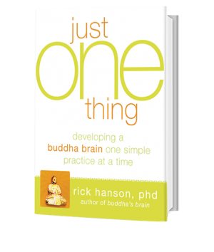 rick hanson neurodharma